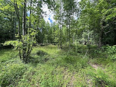 5201 Tennessee 150, Sequatchie, TN 37374 - photo 3