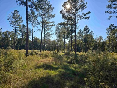 0 Ralph Wood Rd unit 246370, Dublin, GA 31021 - photo 6