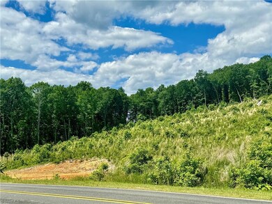 Tract 1 Browers Chapel Rd, Asheboro, NC 27205 - photo 3