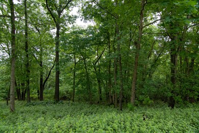 000 Plateau Ln, Kimberling City, MO 65686 - photo 2