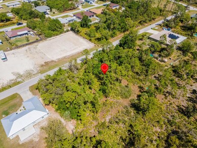 23309 Wilber Ave, Port Charlotte, FL 33980 - photo 5