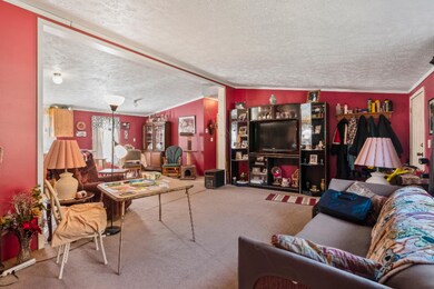 Photo-28