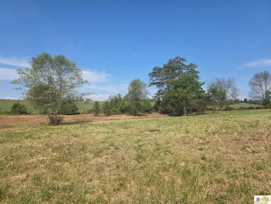 2485 Palestine Rd, Campbellsville, KY 42718 - photo 3