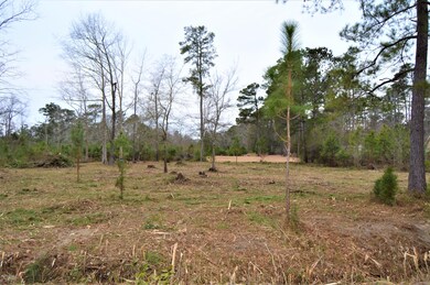 1.35 E Wilmington St, Burgaw, NC 28425 - photo 2