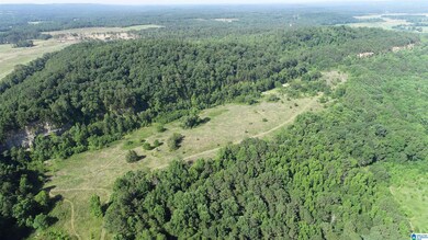 0 U S 231 unit 21390284, Oneonta, AL 35121 - photo 2