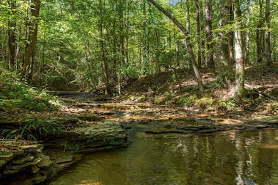 0 Fox Ln, Savannah, TN 38372 - photo 3