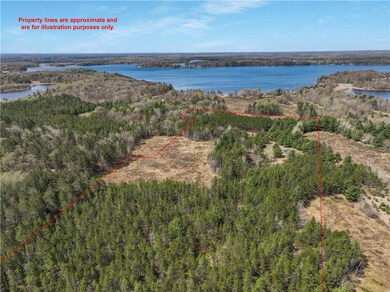 Note the outline of the 19 acre parcel.