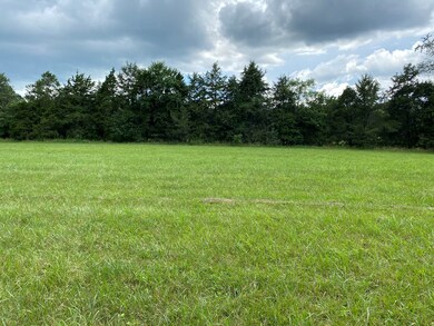 6.97 AC Ramsey Ln, Cookeville, TN 38501 - photo 2