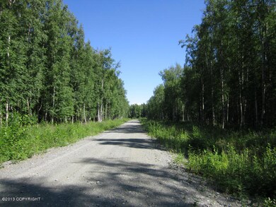 Summer Street View 2