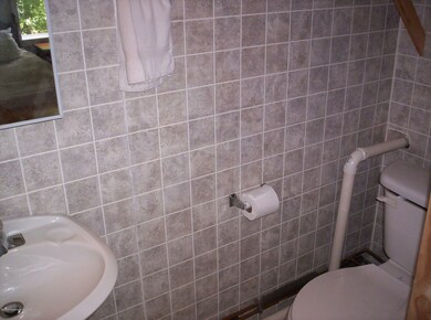 460 Ridge Ave, Dallas, PA 18612 - photo 4