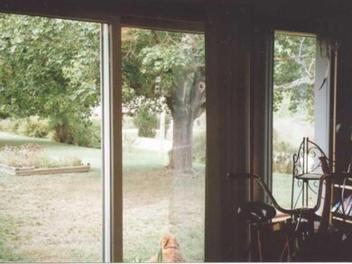 Yard/Garden.