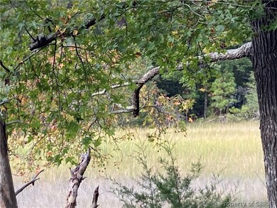 View of nature