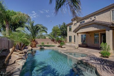 Backyard Resort