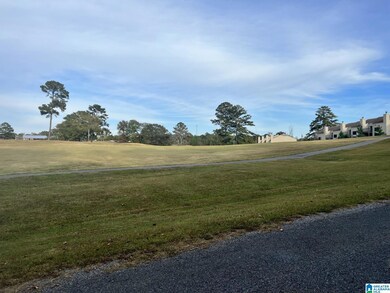 0 Jones Rd unit 1 21423773, Alpine, AL 35014 - photo 2