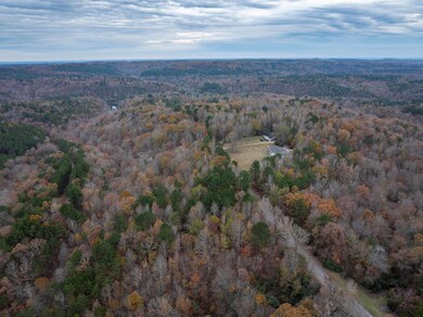 20241204-DJI_20241204154930_0574_D-HDR