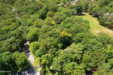vacant lot Blue knob-4