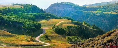 DRR Last Dollar Rd, Telluride, CO 81435 - photo 7