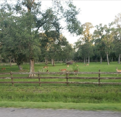 White tail Deer in the area.