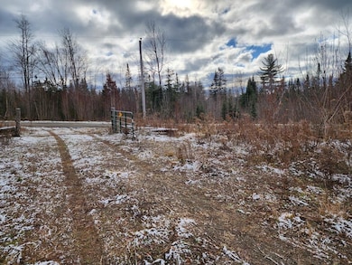 Lot 2 Greenleaf Brook Acres, Amity, ME 04471 - photo 5