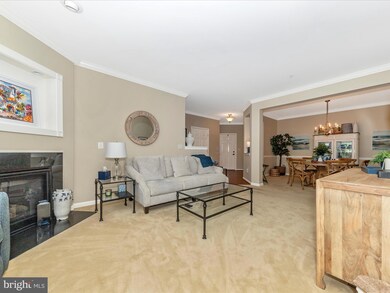 11180 Chambers Ct unit F, Woodstock, MD 21163 - photo 5