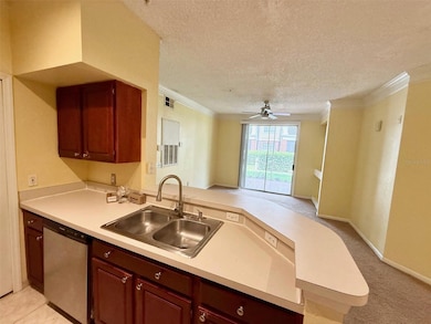 13102 Mulberry Park Dr unit 917, Orlando, FL 32821 - photo 2