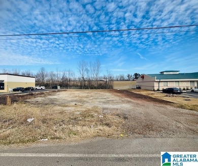 4935 McAdory School Rd, Mc Calla, AL 35111 - photo 4