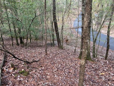 LT2756 Medina Ct, Ellijay, GA 30540 - photo 5