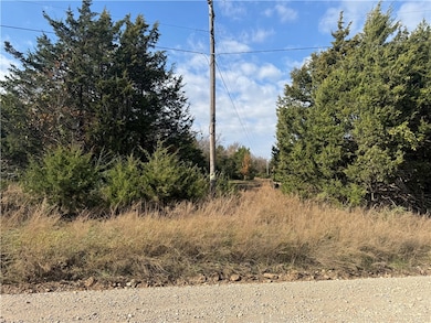 7.03 AC Rocky Hill Rd, Prairie Grove, AR 72753 - photo 5