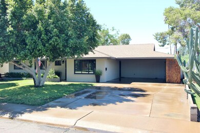 Drive & Carport