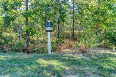 16 Dawn's Light, Plymouth, MA 02360 - photo 6