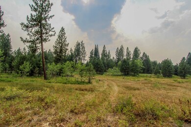 6 Silver Stone Ct unit 9, Cascade, ID 83611 - photo 5