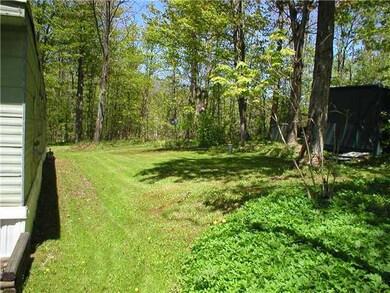 Yard/Garden