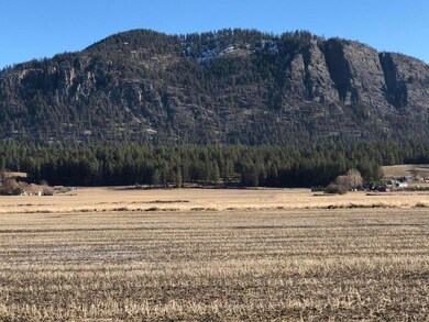 XXX 5th St E, Chewelah, WA 99109 - photo 6