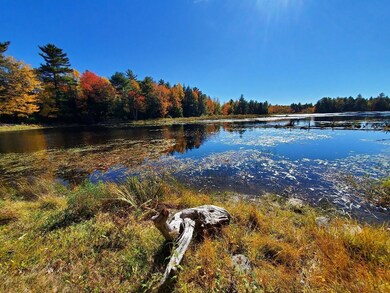 great canoeing/kayaking