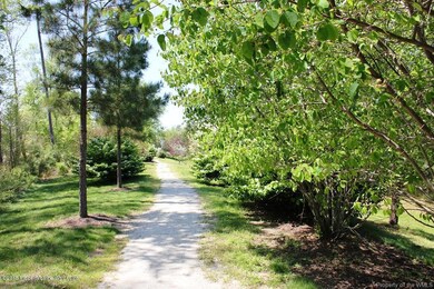 0E Wallking Path