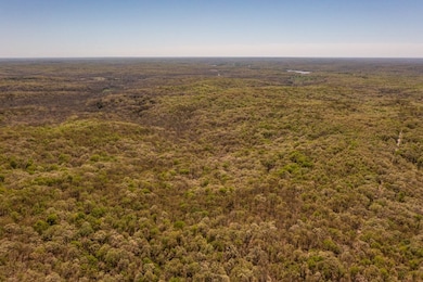 27064 Hickory Tree Ln, Lincoln, MO 65338 - photo 6