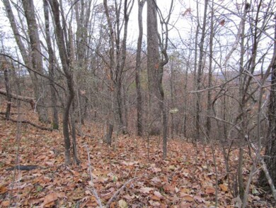 13ac Upper Crab Rd, Jamestown, TN 38556 - photo 7