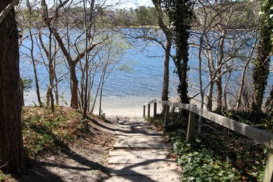 9 Mockingbird Ln, Harwich, MA 02645 - photo 3