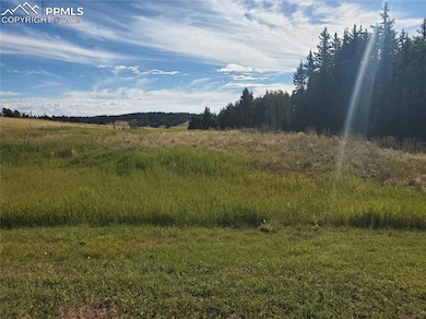 309 Pinaceae Heights, Divide, CO 80814 - photo 6