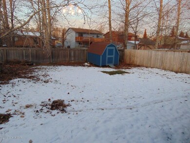 back yard
