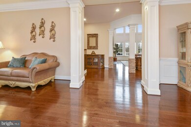24163 High Falls Ct, Ashburn, VA 20148 - photo 4