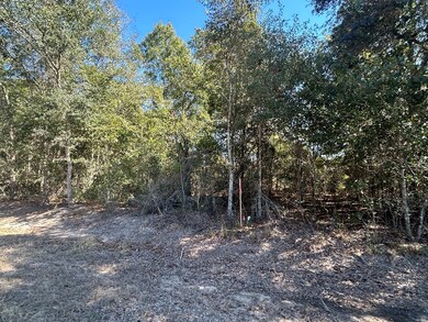 20+-ac Coot Adams Rd, Ashford, AL 36312 - photo 5