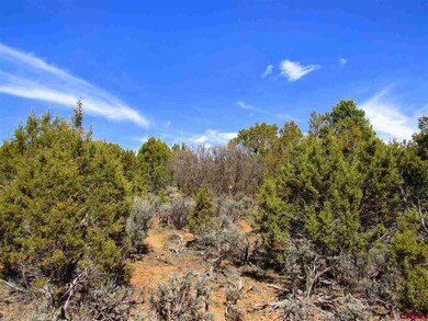 0 Uintah Rd unit 700701, Cedaredge, CO 81413 - photo 6