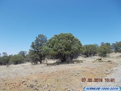 0 Wilmot Rd, Silver City, NM 88061 - photo 4