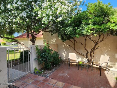 Patio 1
