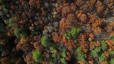 M.R6 Lot18 Lisbon St, Lisbon, ME 04250 - photo 2