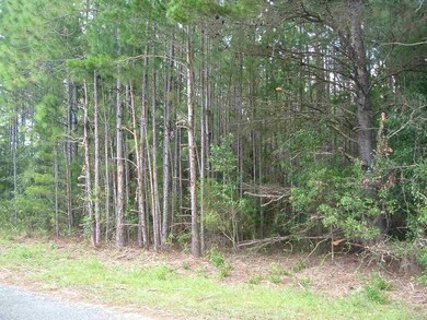 0 Cornfield Way unit 544136, Milton, FL 32583 - photo 3