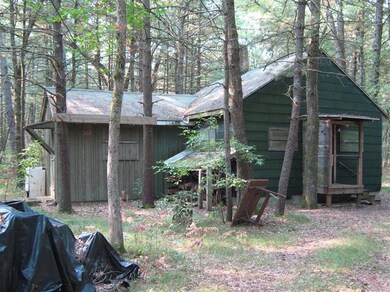 123456 Jenks Rd, Baldwin, MI 49304 - photo 2