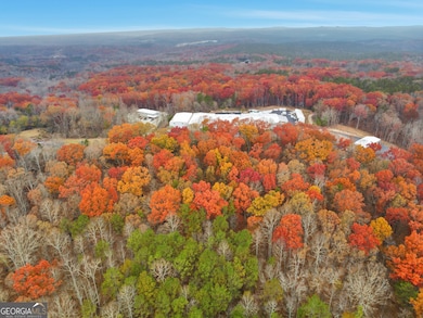 0 Hogan Pond Ln unit 10652509, Ball Ground, GA 30107 - photo 2