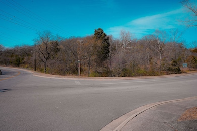 0 Frank Rea Blvd unit Lot F3 23190306, Branson, MO 65616 - photo 4